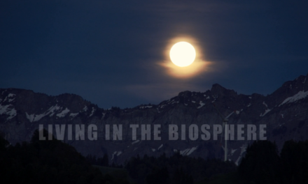 Film-Trailer «Living in the Biosphere»