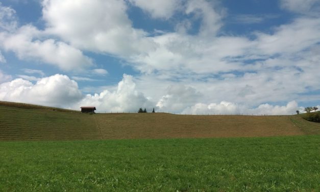 Neues «Forum Landschaft, Alpen, Pärke»