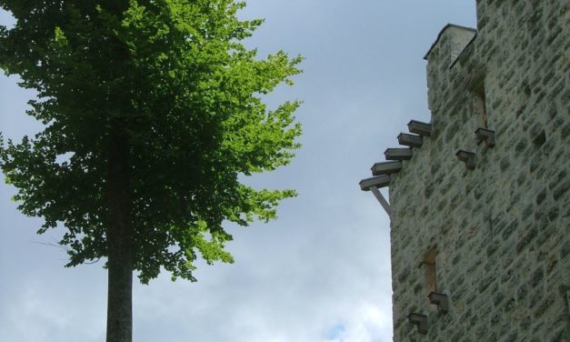 Kastelen: «Auferstandenes Wahrzeichen des Luzerner Hinterlandes»