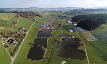 Strategie zur Erhaltung und Förderung der Biodiversität im Kanton Luzern erarbeitet