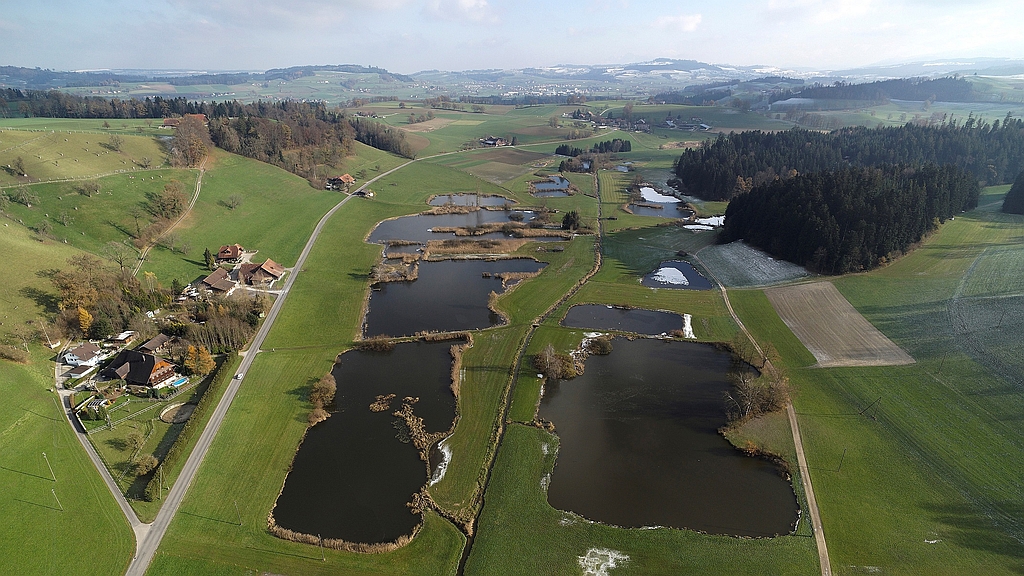 Strategie zur Erhaltung und Förderung der Biodiversität im Kanton Luzern erarbeitet