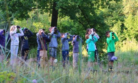 Naturlehrgebiet Buchwald Ettiswil feiert Jubiläum