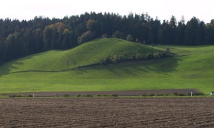 Initiativen «Luzerner Kulturlandschaft»: Kantonsrat unterstützt Gegenvorschlag