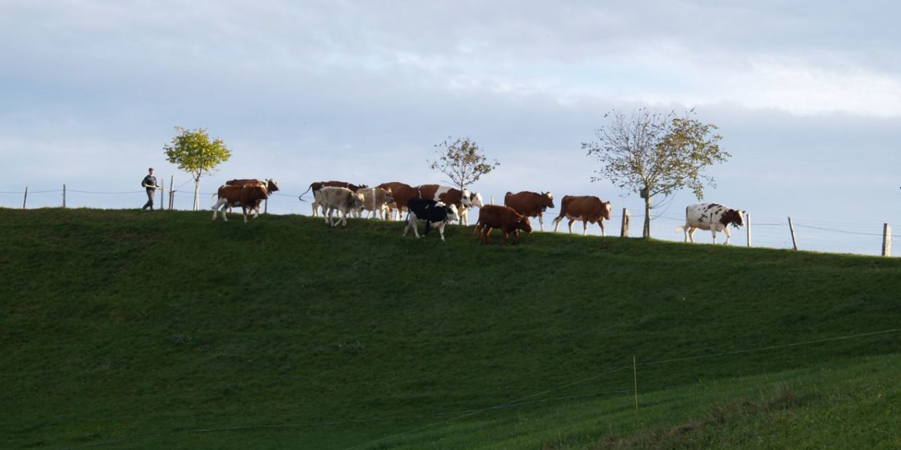 Zukunftsfähige Visionen für die Landwirtschaft