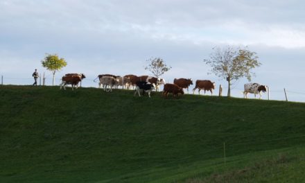 Zukunftsfähige Visionen für die Landwirtschaft