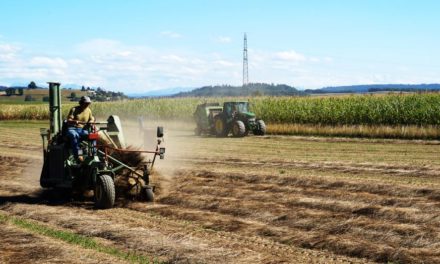 Renaissance des Schweizer Flachs: Auszeichnung für SwissFlax GmbH aus Sumiswald