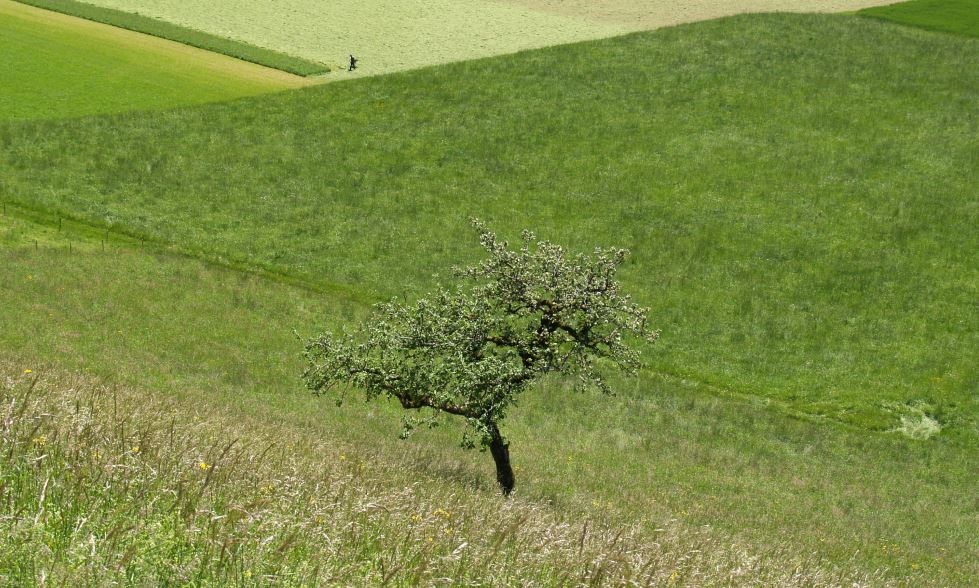 Hilfe für bäuerliche Kleinbetriebe im Berggebiet