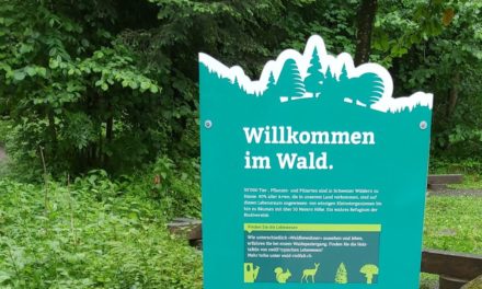 Waldbewohner stellen sich vor – Parcours mit Wettbewerb