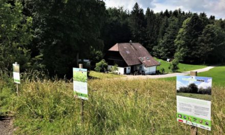 Aktion «Erlebnis Bauernhof 2020» ist gestartet