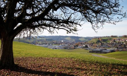 Raumentwicklung LUZERN WEST: Einseitige Ausrichtung auf den Metropolitanraum Zürich «falsch»