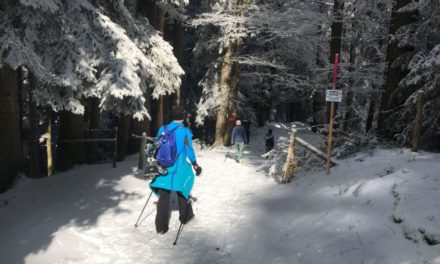 Ausserordentlich harter Winter für die Wildtiere: Bitte um Rücksichtnahme