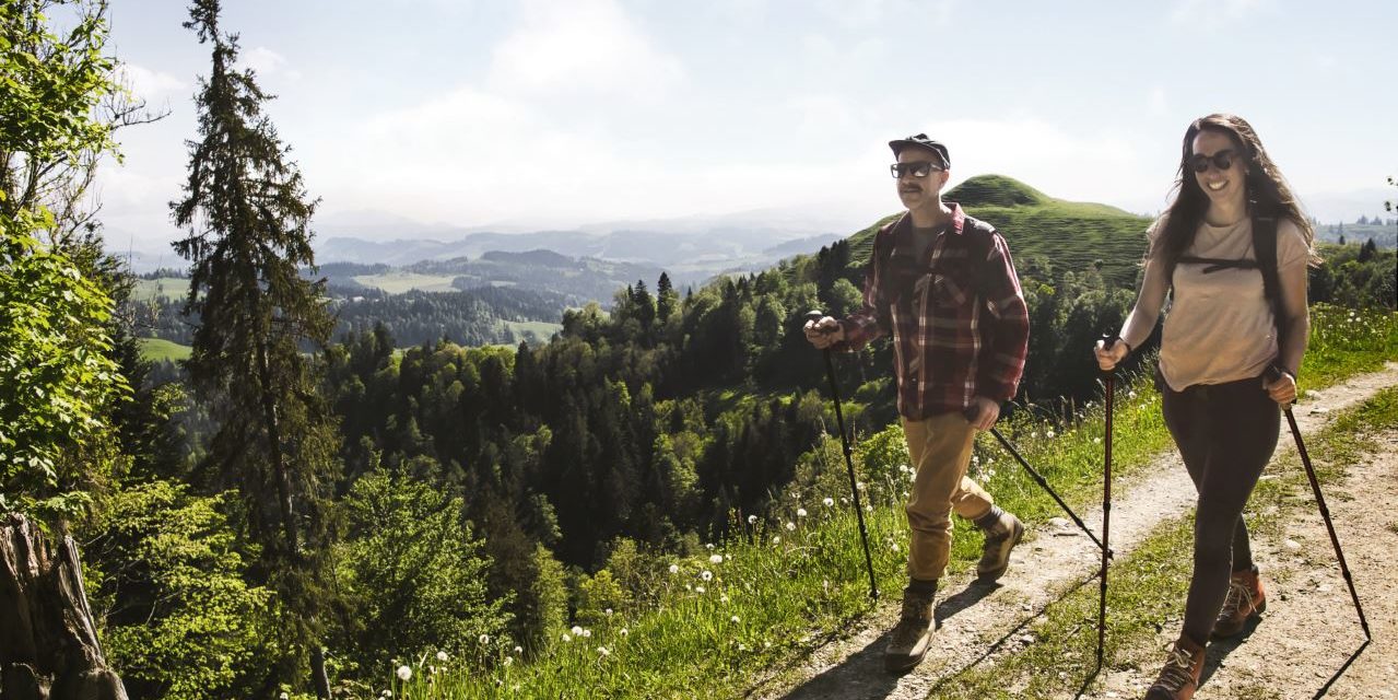 Für friedliche Begegnungen zwischen Wandernden und Kühen