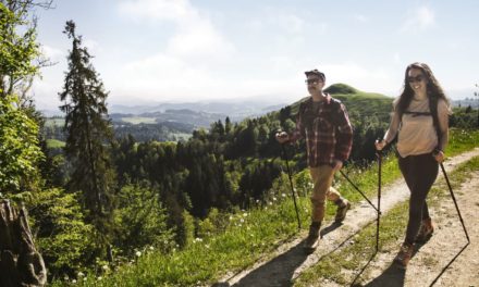 Für friedliche Begegnungen zwischen Wandernden und Kühen