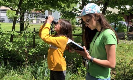 Stunde der Gartenvögel 2021