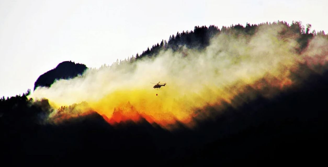 Achtung: Erhebliche Waldbrandgefahr (26.3.22)