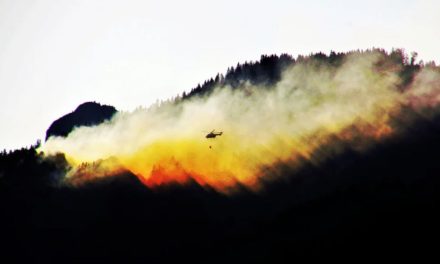 Achtung: Erhebliche Waldbrandgefahr (26.3.22)