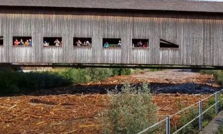 Rückblick Hochwasser Emme (4. Juli 2022)