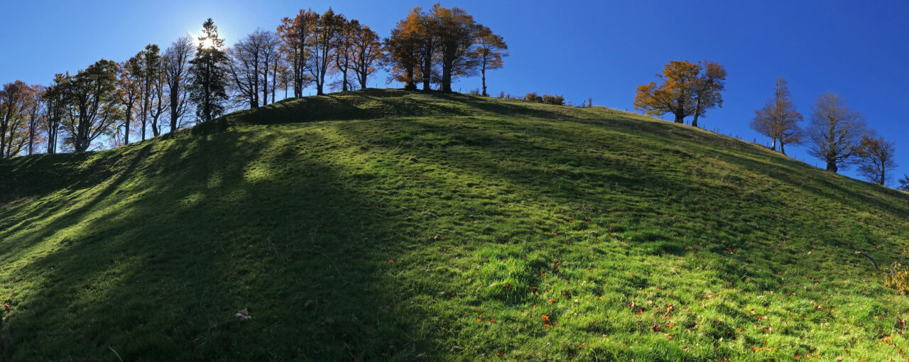 IG für den Erhalt der Grenz-Baumreihe Hagstelli gegründet