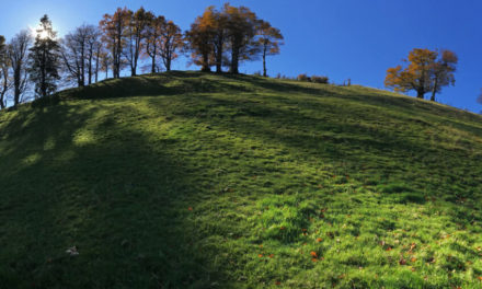 IG für den Erhalt der Grenz-Baumreihe Hagstelli gegründet